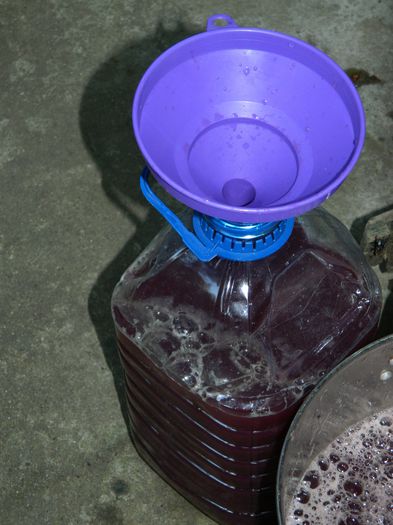 DSCN9695 - SEPTEMBRIE_3_2014