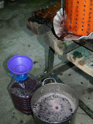 DSCN9696 - SEPTEMBRIE_3_2014