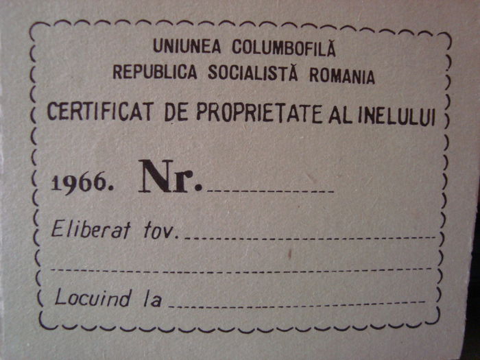 RSR 1966 - TALOANE  INELE