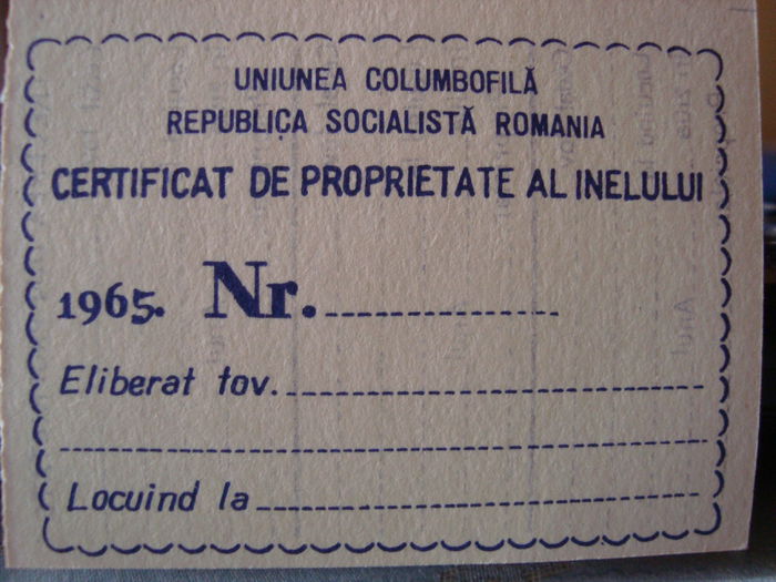 RSR  1965 - TALOANE  INELE