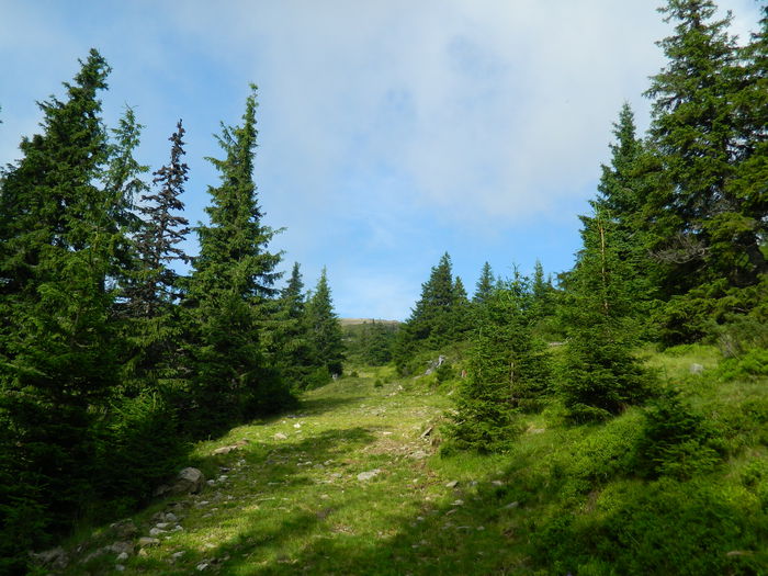 DSCN9702