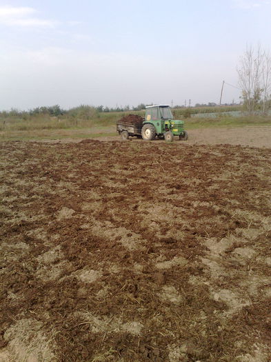 teren pregatit pt cartofi 2015 - legumicultura --ocupatia mea