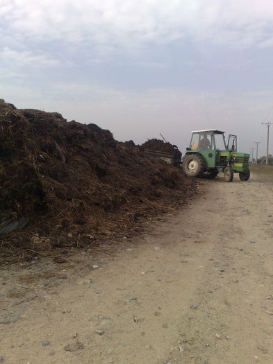 020120071327 - legumicultura --ocupatia mea