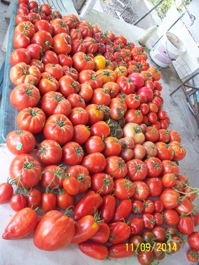 CEVA ROSII (6) - 2-1 TOMATE SOI