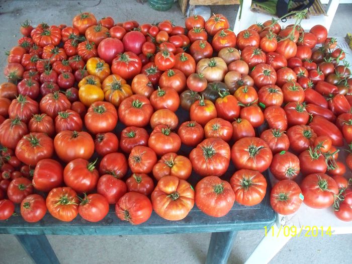 CEVA ROSII (7) - 2-1 TOMATE SOI