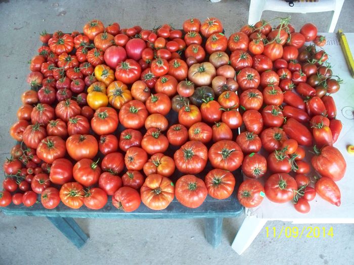 CEVA ROSII 1 - 2-1 TOMATE SOI