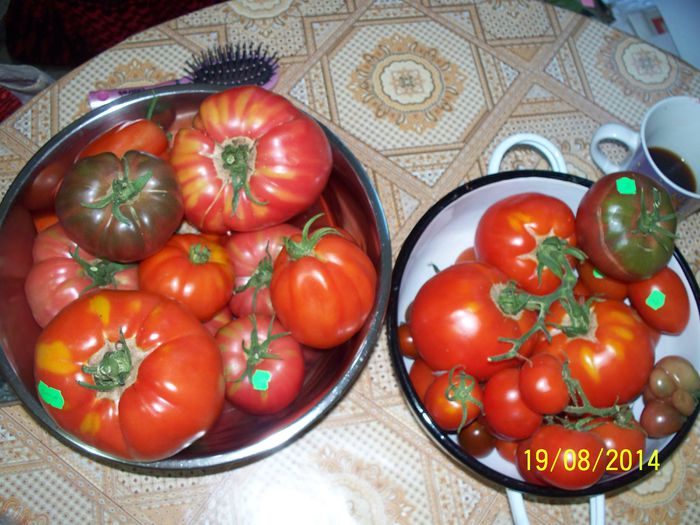 CEVA ROSII 3 - 2-1 TOMATE SOI