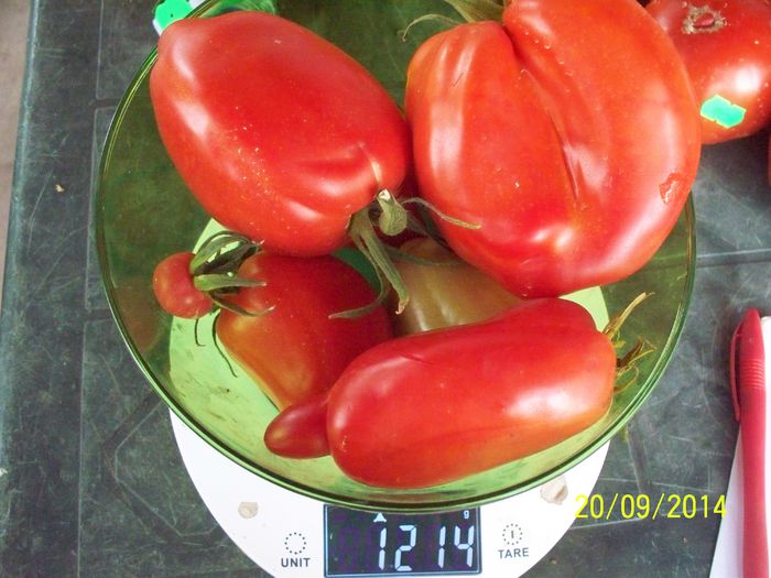 CORNO DE ANDES -DE LA UN FIR