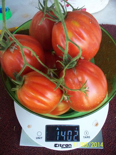 Cuor di Bue D`ALBENGA LIGURE