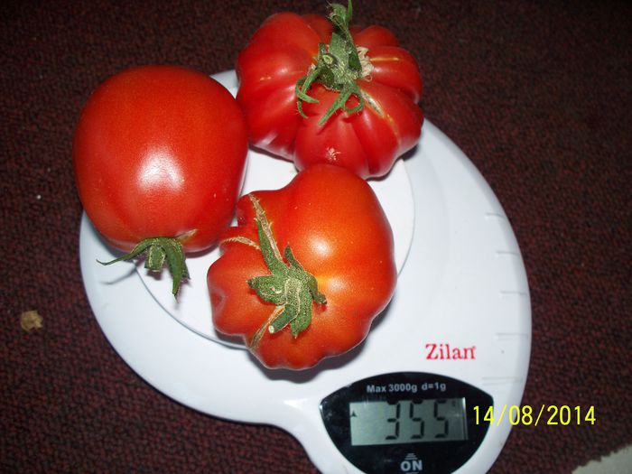 Cuor di Bue D`ALBENGA LIGURE