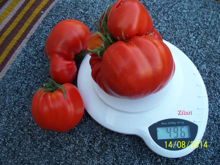 URIASE DOLJ (2) - URIASE DE DOLJ