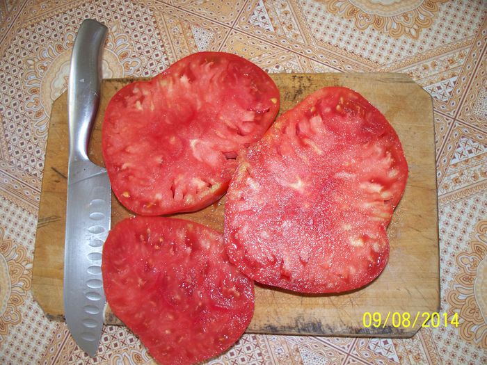 URIASE DOLJ (4) - URIASE DE DOLJ