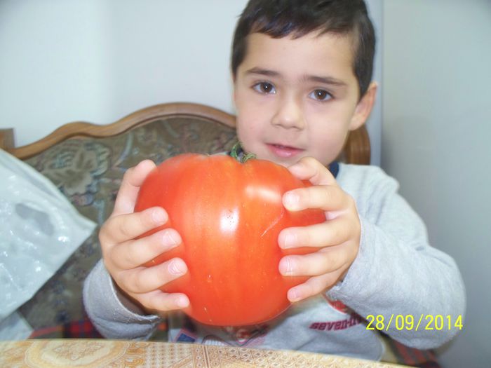 URIASE DOLJ 966 (gr4)