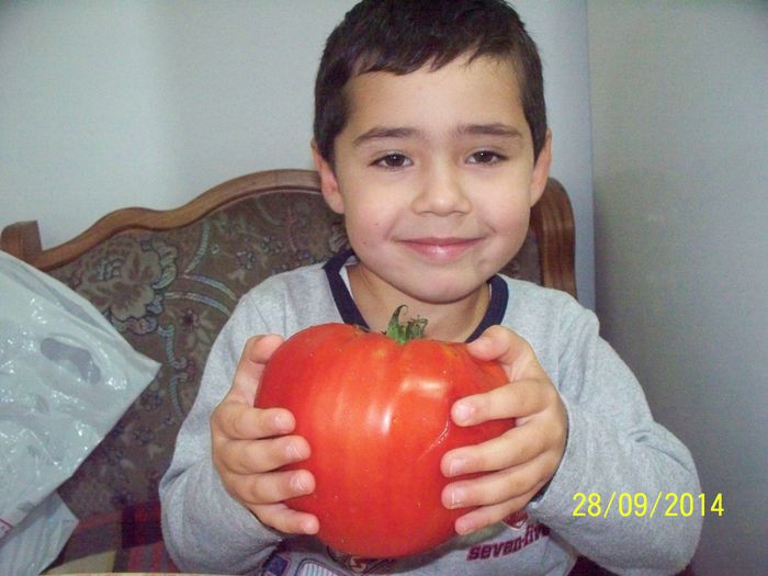 URIASE DOLJ 966 (6) - URIASE DE DOLJ