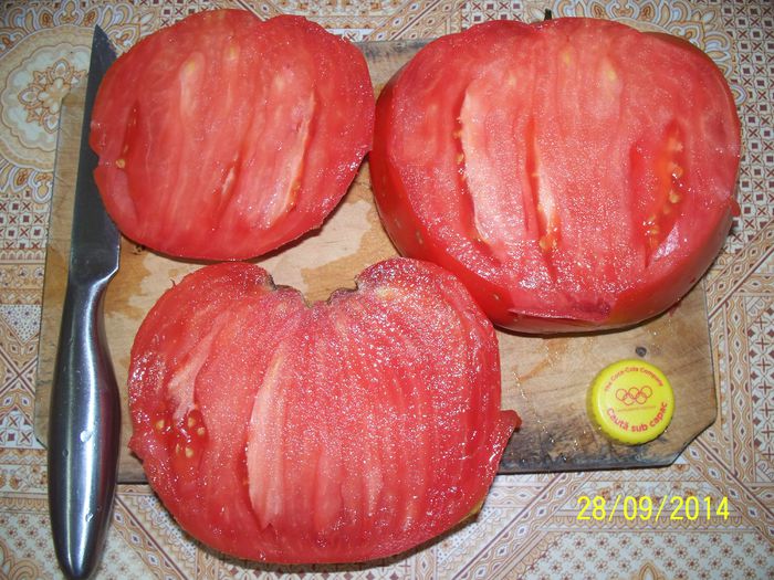 URIASE DOLJ 966  gr(8)