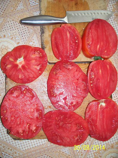 URIASE DOLJ SECTIUNE