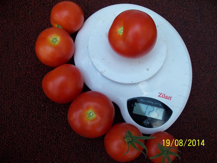 DUBLU CHERRY SV 125 GR (4)