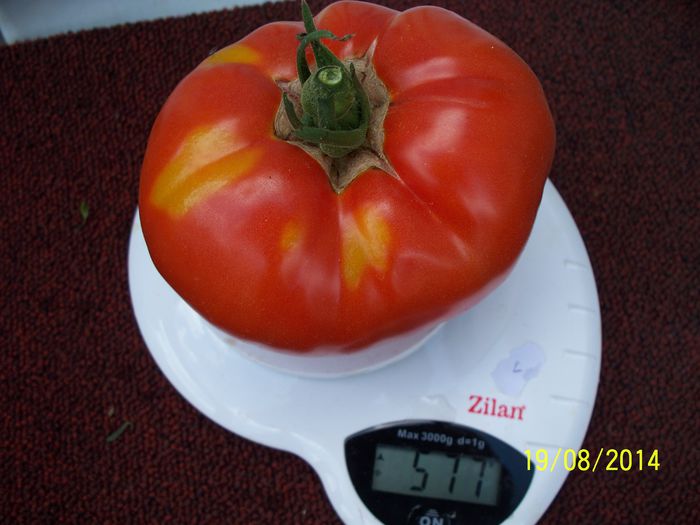 SUPER MARMANDE-L 577 - SUPERMARMANDE