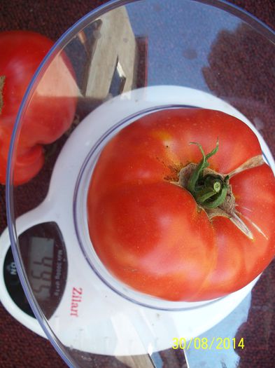 RIESEN –TOMATEN W (4) - URIAȘE SăSEȘTI GIGANT-Riesen Tomaten Rot