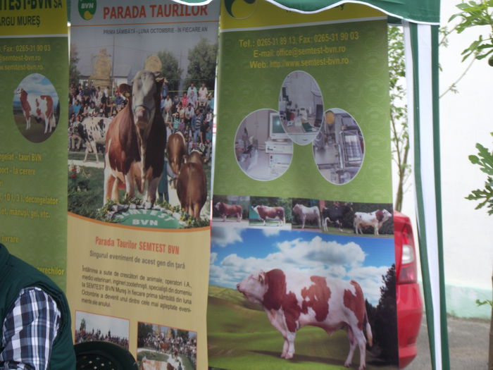 DSCF7295 - 4---expozitie banat agralim 30 mai 01 iunie 2014 timisoara