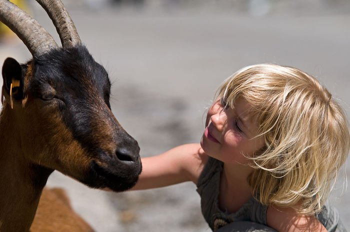 Alpina si fetita cuminte