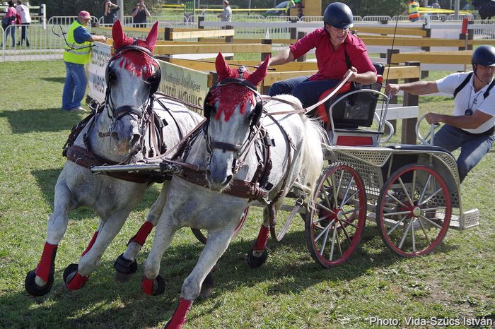 maraton InAS Miska - Competition 2014