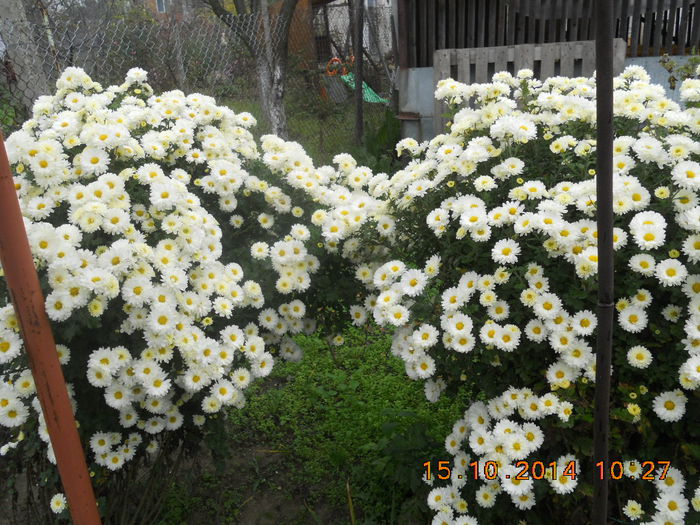 DSCN3532