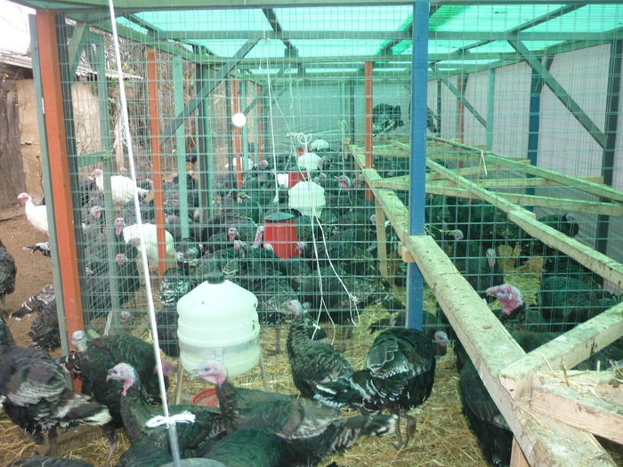 P1210273; In adaposturi
