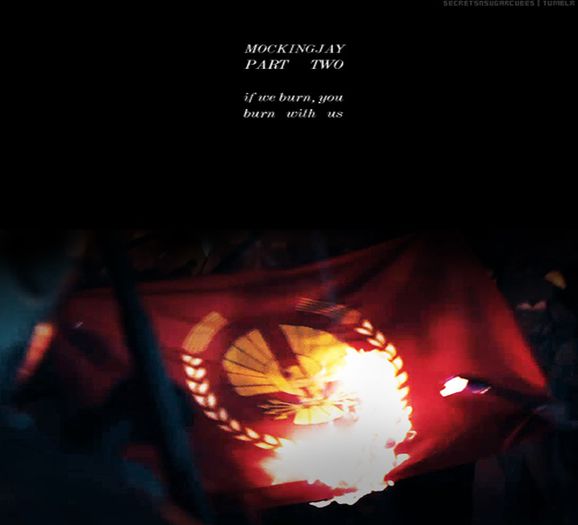  - xxl-Mockingjay Part 1 Countdown- Fire Burns Brighter In The Dark