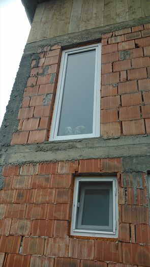 DSC_0621 - Copy - Fritz  Bella  Mimi