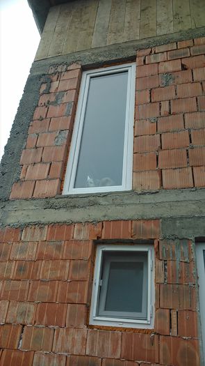 DSC_0622 - Copy - Fritz  Bella  Mimi