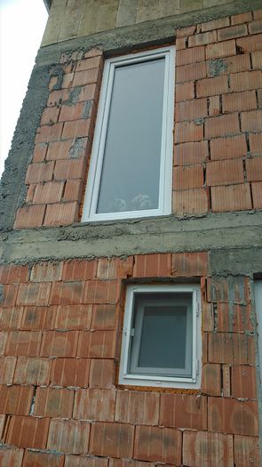 DSC_0623 - Copy - Fritz  Bella  Mimi