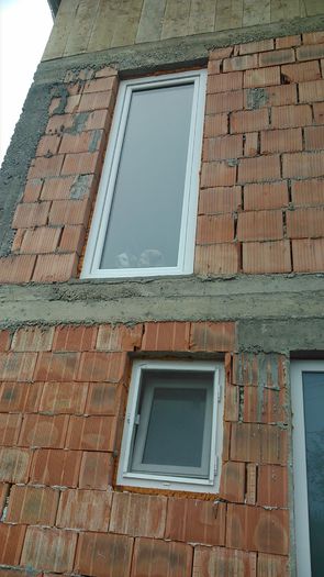 DSC_0624 - Copy - Fritz  Bella  Mimi