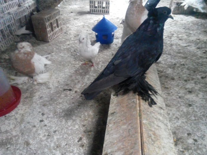 IMG_20141015_170239673