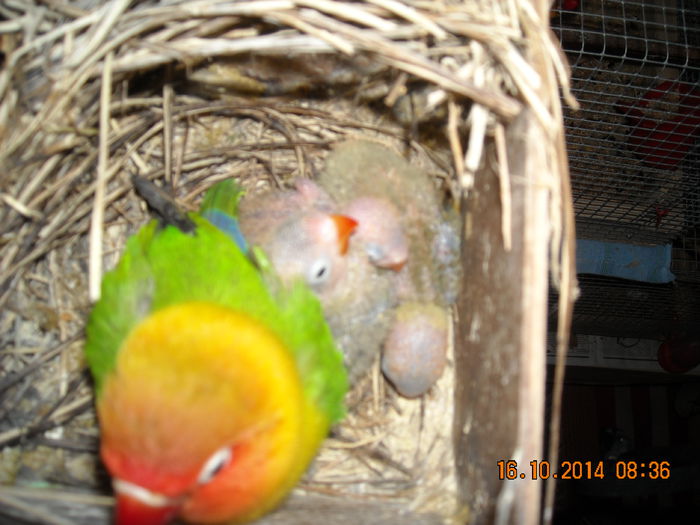 DSCN0049