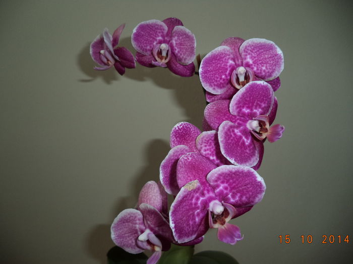 DSC01648