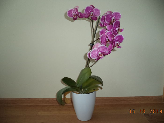 DSC01628