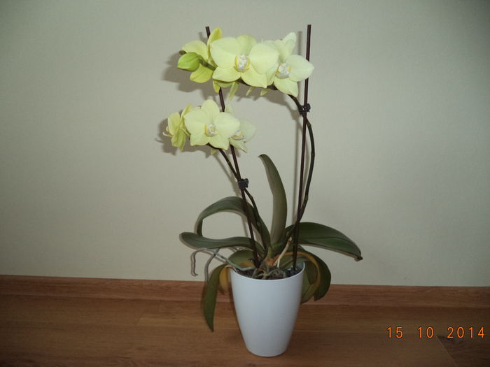 DSC01629