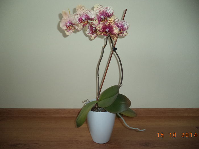 DSC01635