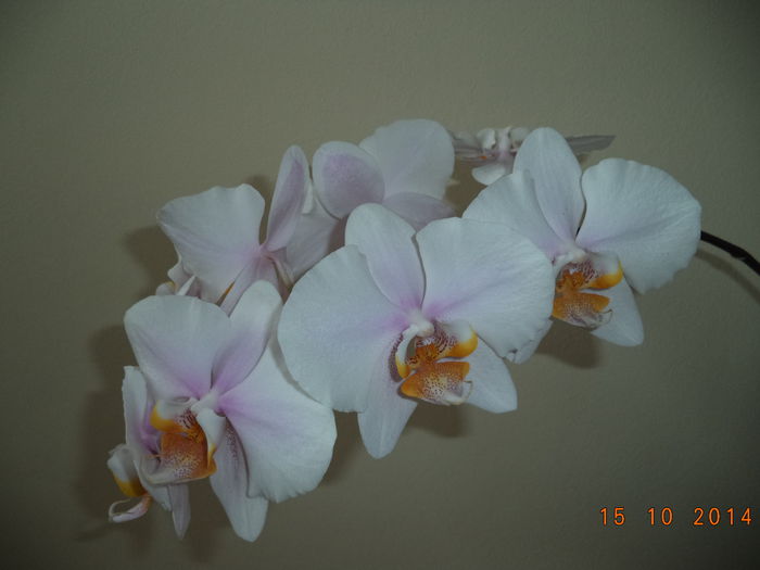 DSC01638