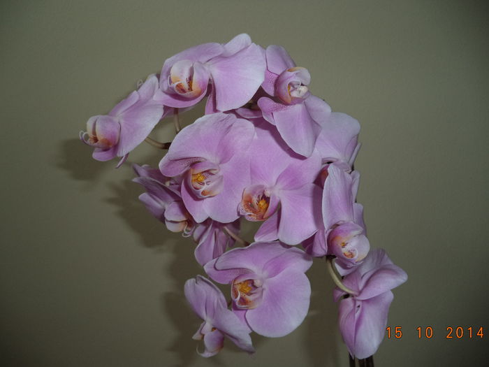 DSC01640