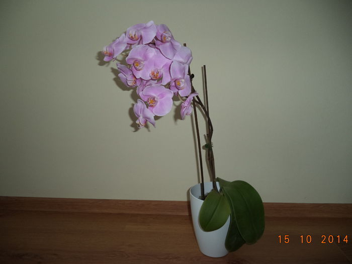 DSC01639