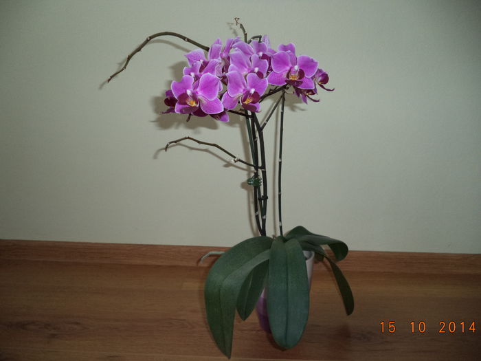 DSC01641