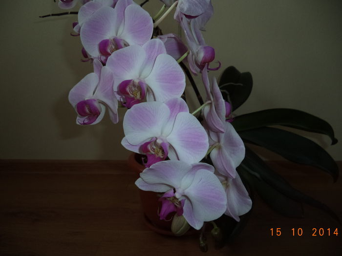 DSC01644