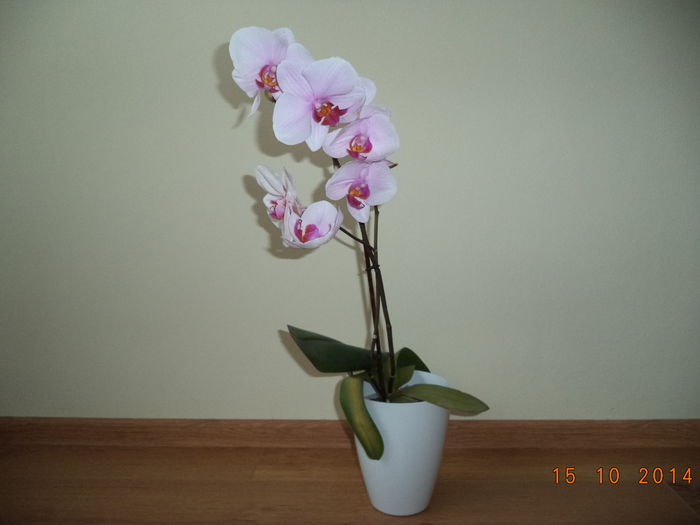 DSC01645