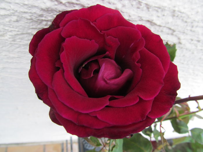  - Diverse 3 - Diverse