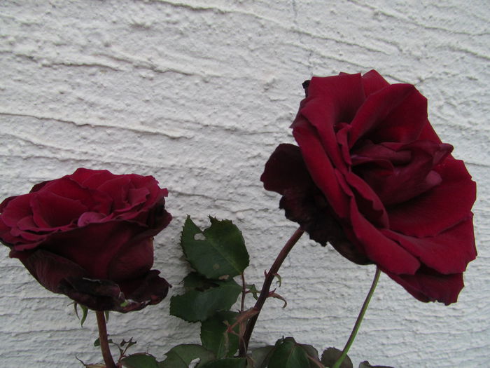  - Diverse 3 - Diverse