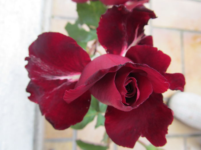  - Diverse 3 - Diverse