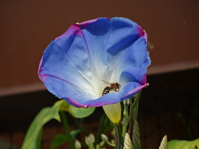DSC00128