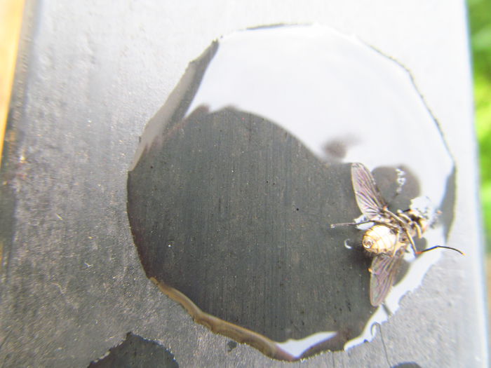  - Diverse 3 - Diverse